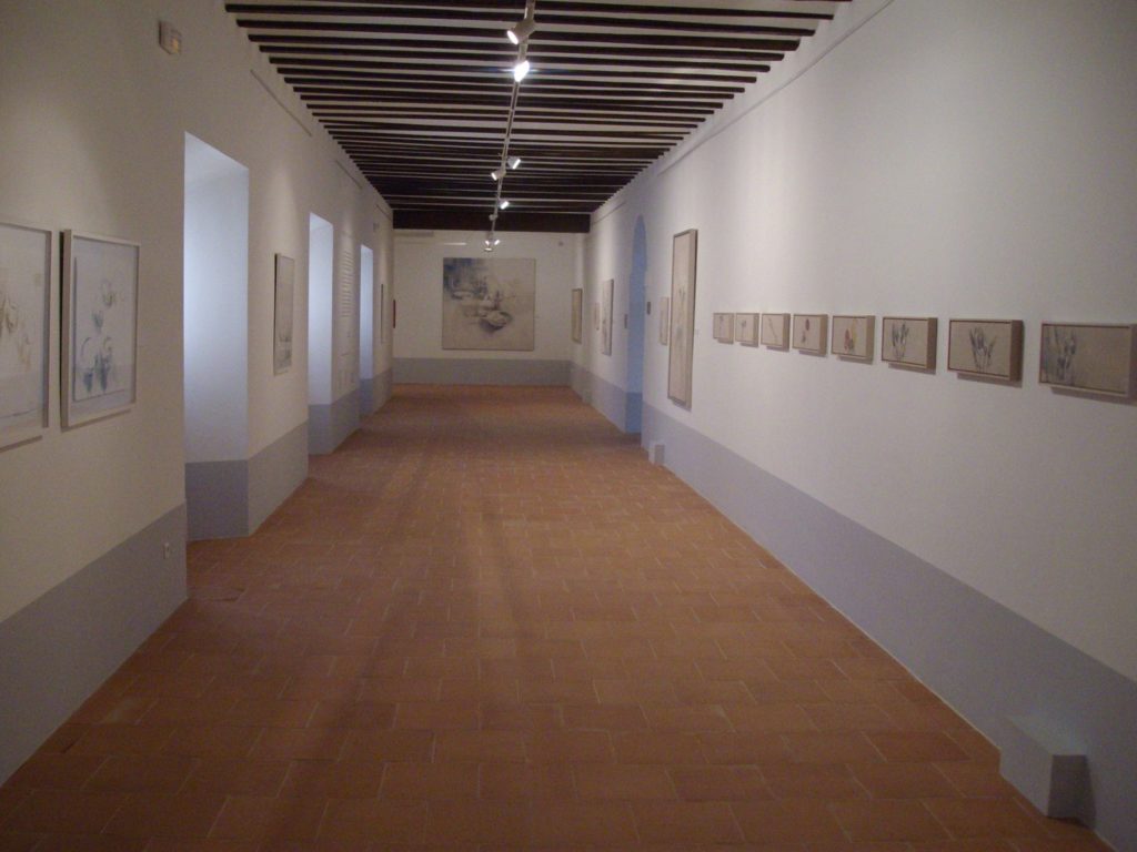 interior museo mula