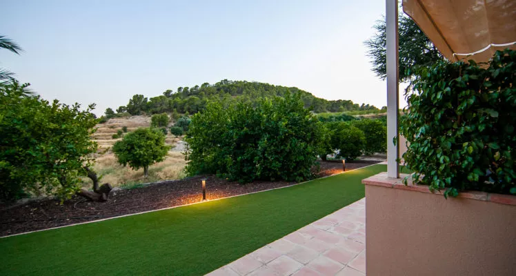 pedroruizaut-7137-748x400