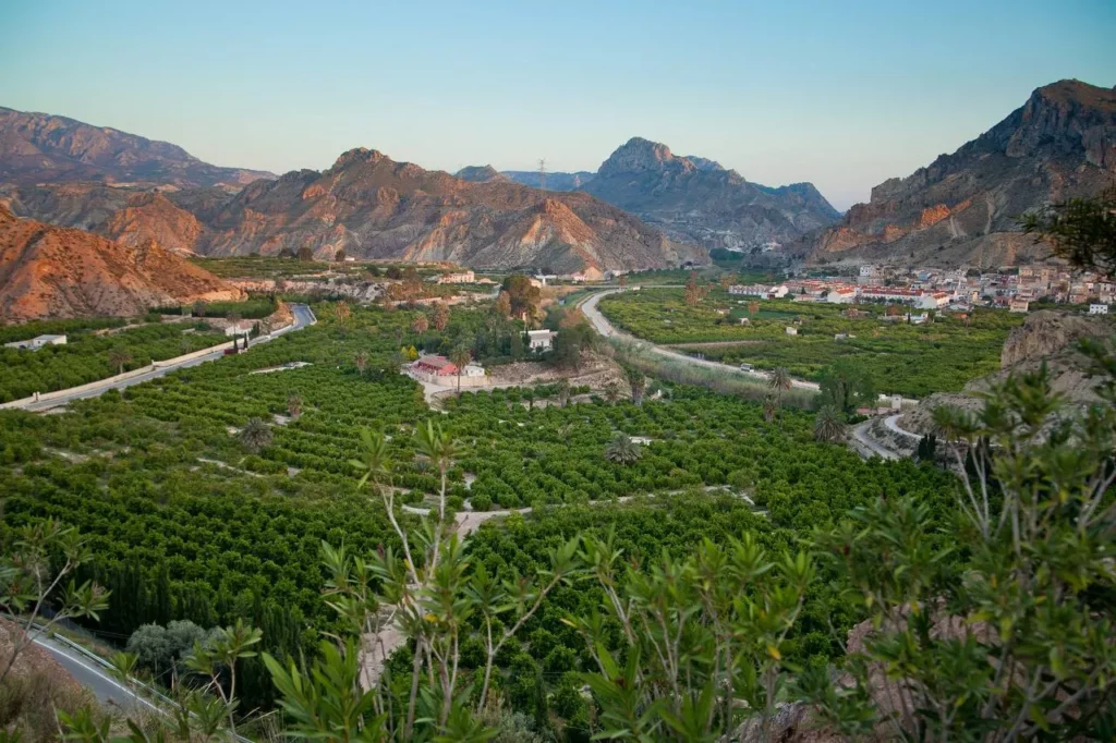 Valle de Ricote