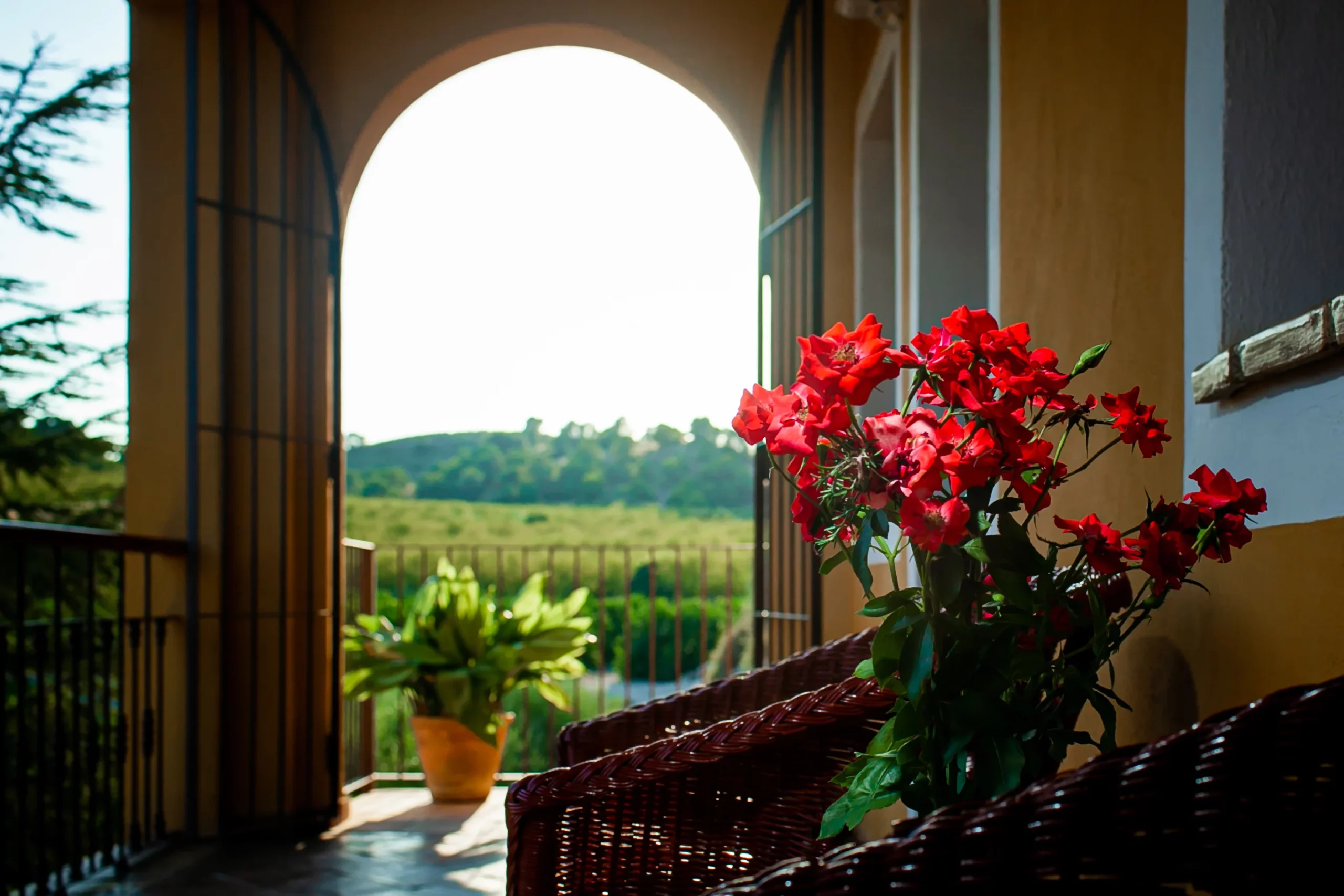 mulaflor2026: imagen del hotel rural Molino de Felipe